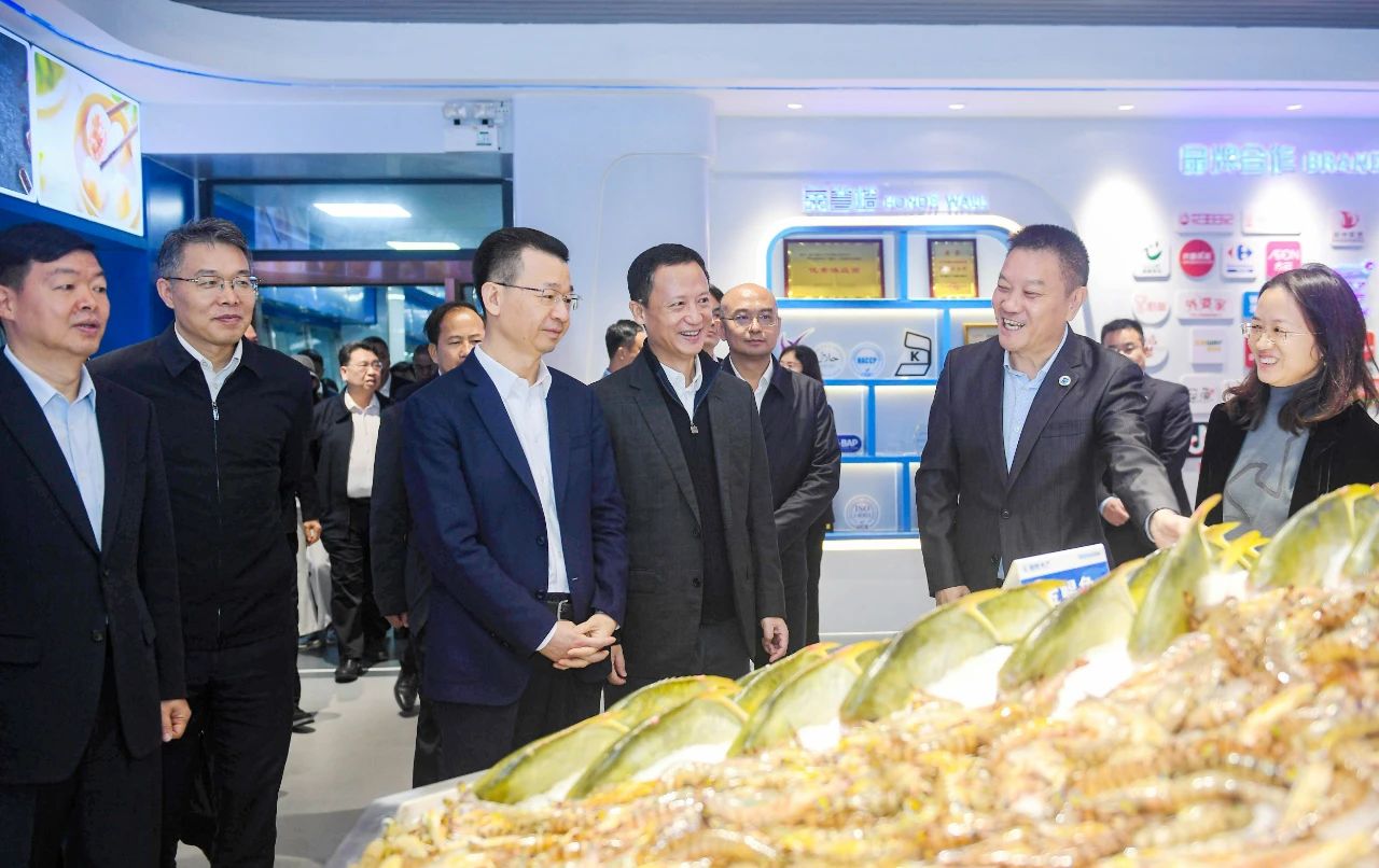 1739935204377805.jpg 70.jpg