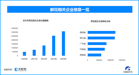 1748504010456636.png image.png