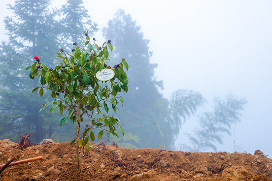 1749274126101942.png image.png