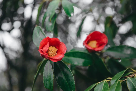 1749274138842943.png image.png