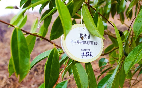 1749559335741483.png image.png