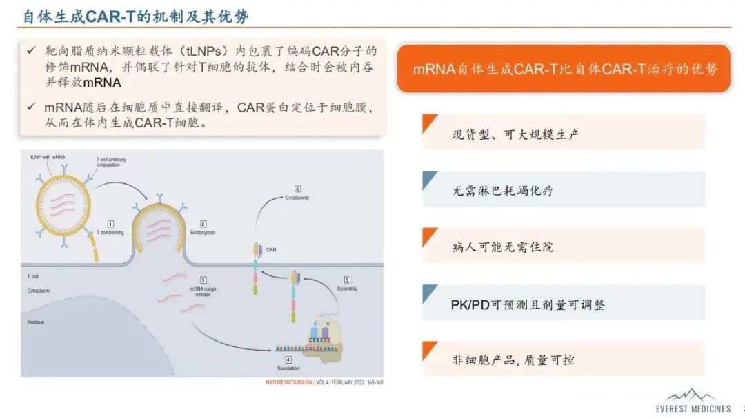 1750216718546120.jpg 19.jpg