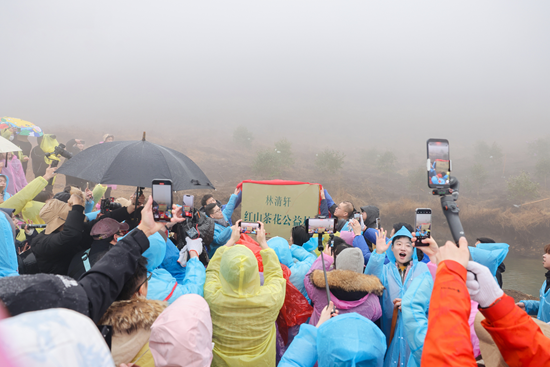 1750225441152432.png image.png