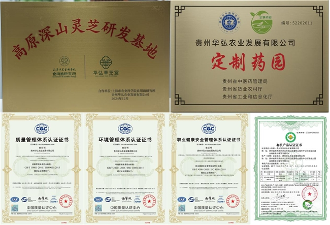 1750327936991369.png image.png