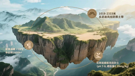 1753172466677947.png image.png