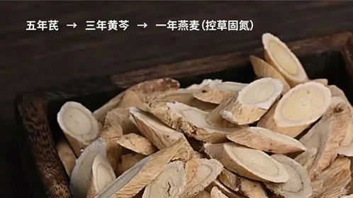 1753172487840763.png image.png