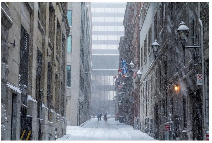 1753676619868291.jpg 50.jpg