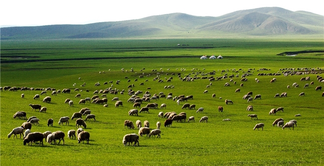 在家也能“草原涮肉”!顺丰从智慧冷链到仓配服务,树立鲜肉供应链新标杆