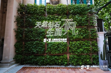 1755770611115740.png image.png