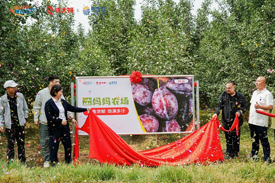 1756180973118069.png image.png