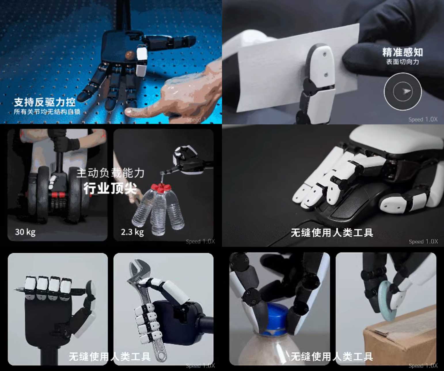 1758010415365175.jpg 30.jpg