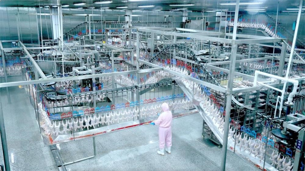 1759115903120853.jpg 57.jpg