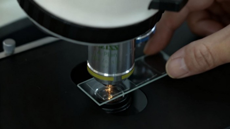 1761724524242802.png image.png