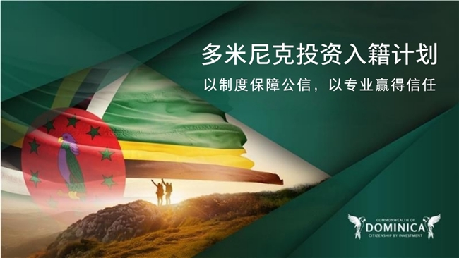 1762402705758254.jpg 4.jpg