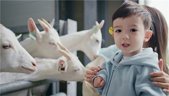 1763618010648150.png image.png