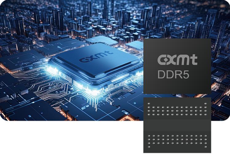 1764740491313086576.jpg 1764740491313086576.jpg